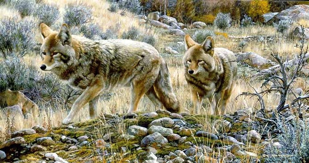 original-paintings-carl-brenders-art